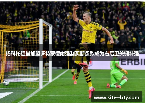 扬科托租借加盟多特蒙德附强制买断条款成为右后卫关键补强 扬科托租借加盟多特蒙德附强制买断条款成为右后卫关键补强